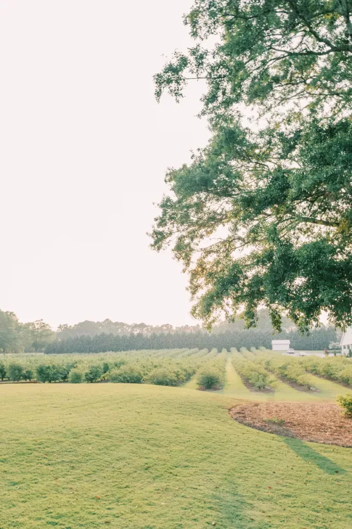haley and jason at the hadden estate in georgia