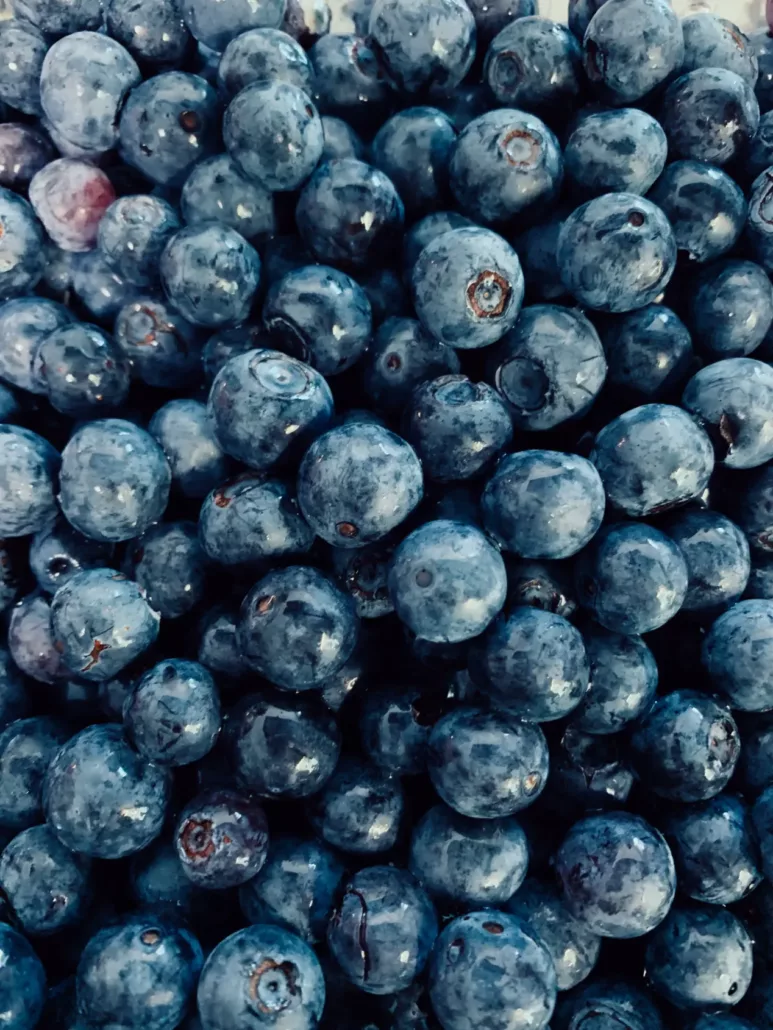 dgd farms blueberries and winery