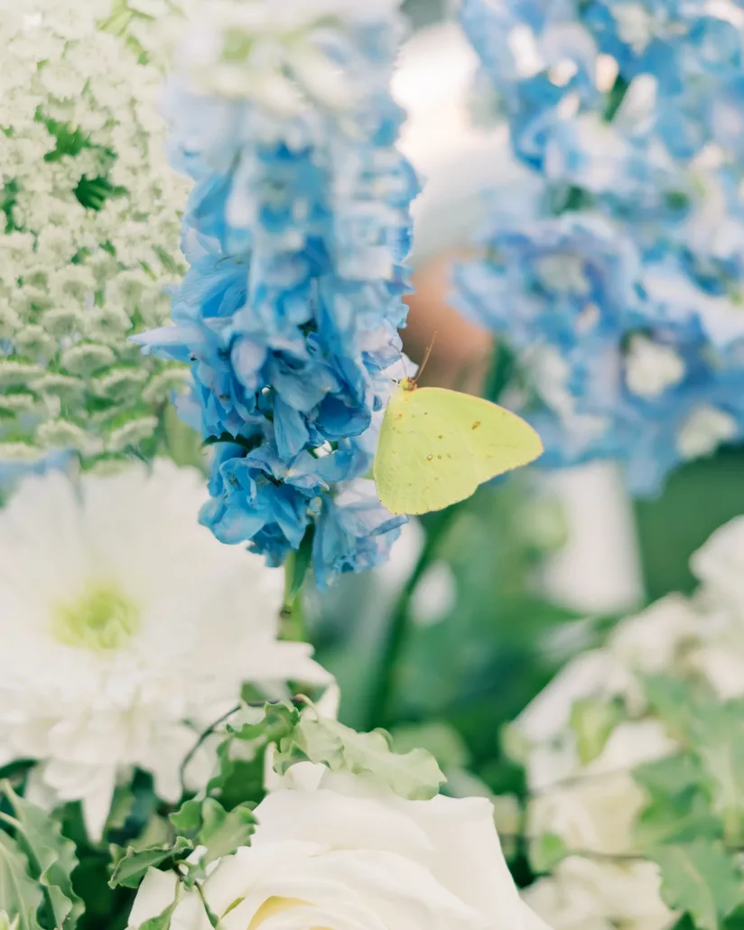 the morales wedding at hadden estate