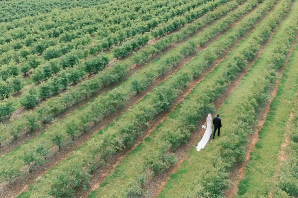 aerial of the blueberry farm and wedding couple aerial of the blueberry farm and wedding couple