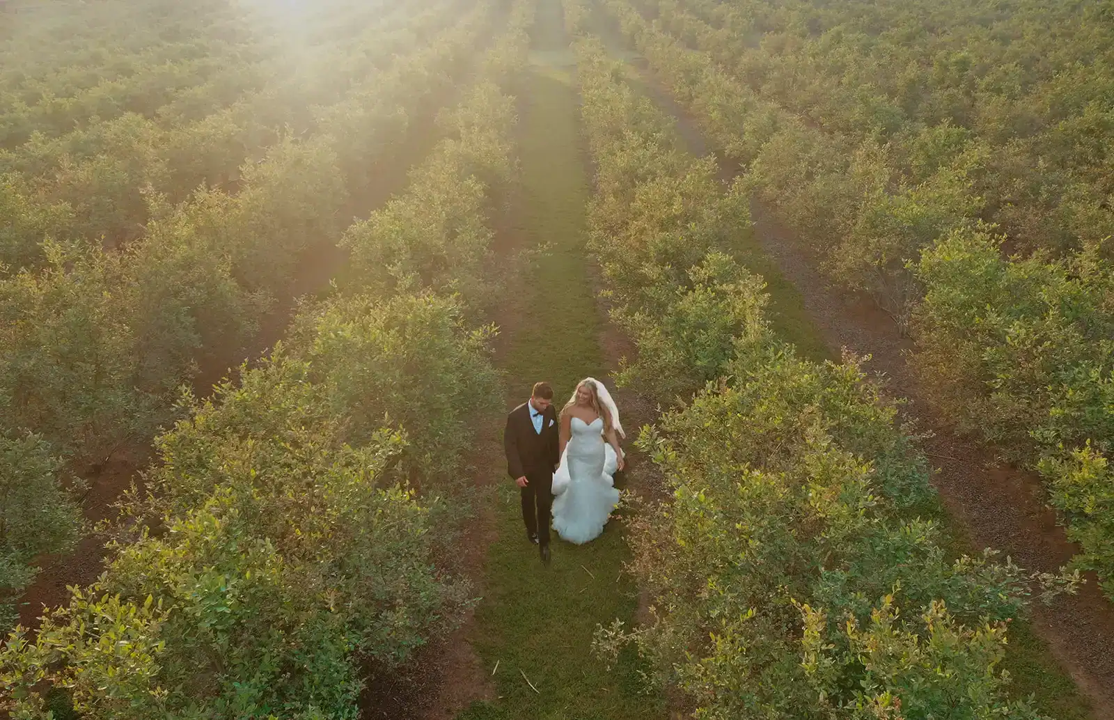 couple in the blueberry vines | hadden estate | athens ga